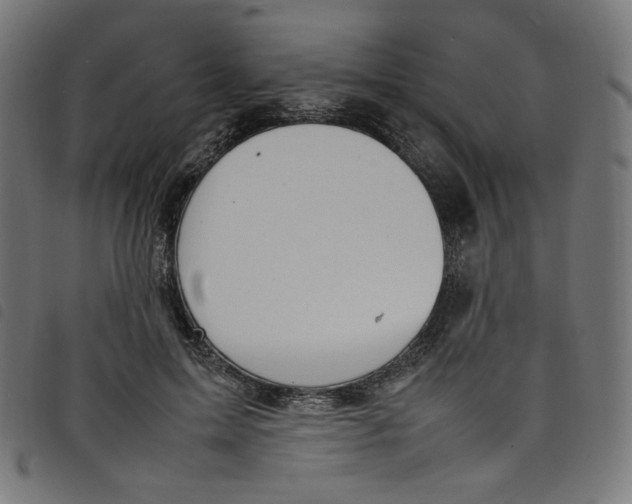 X0000098120599200804251453