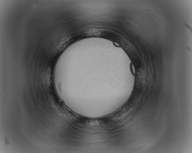 X0000098120600200804251453