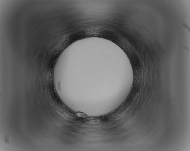 X0000098120601200804251453