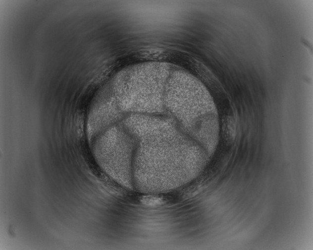 X0000098120602200804251453