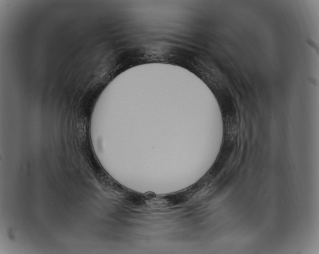 X0000098120603200804251453