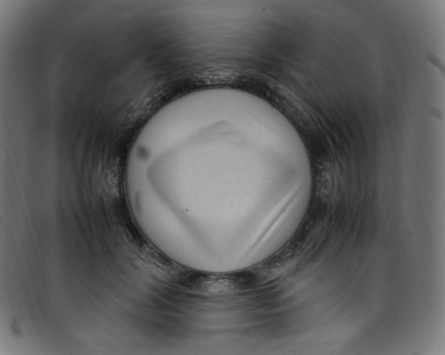 X0000098120604200804251453