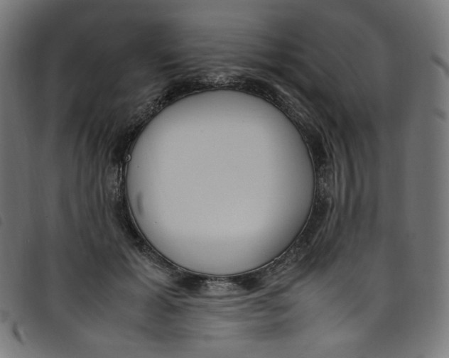X0000098120605200804251453