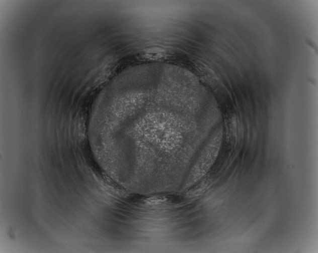 X0000098120606200804251453