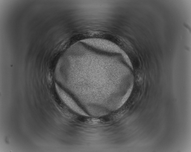 X0000098120607200804251453