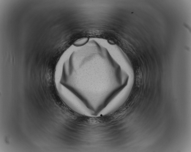 X0000098120608200804251453