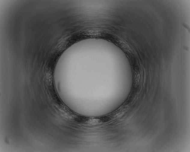 X0000098120609200804251453
