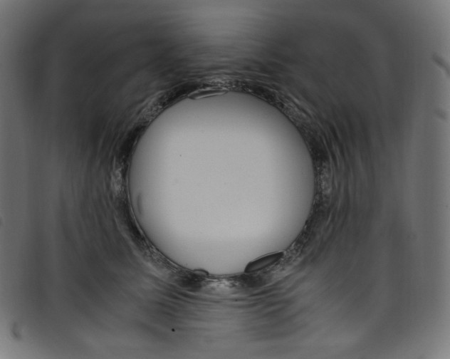 X0000098120611200804251453