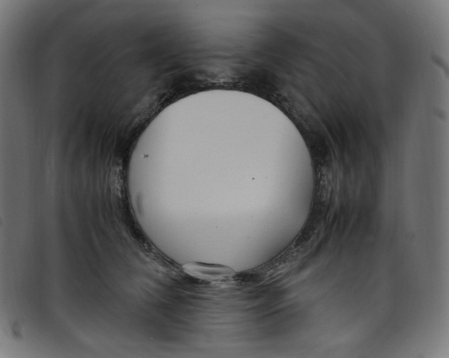 X0000098120612200804251453