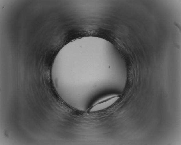 X0000098120613200804251453