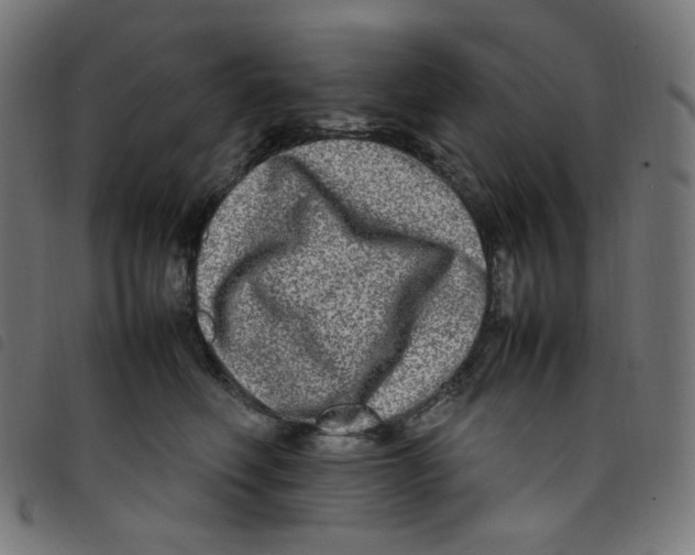 X0000098120614200804251453