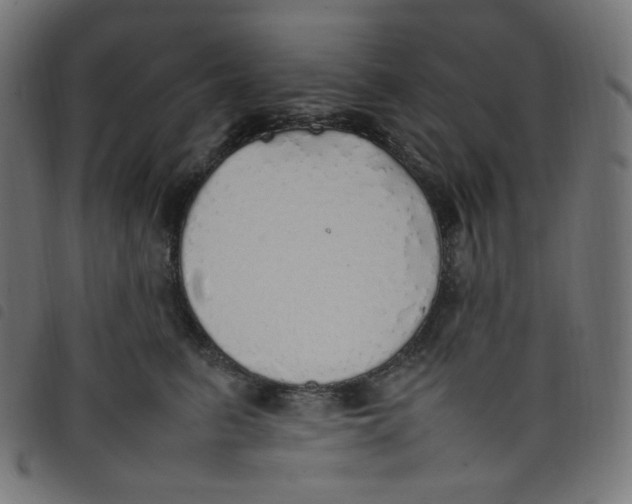 X0000098120615200804251453