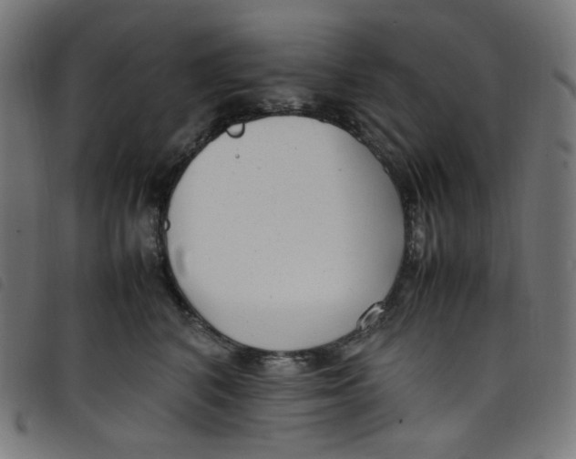 X0000098120616200804251453