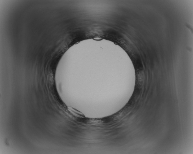 X0000098120617200804251453