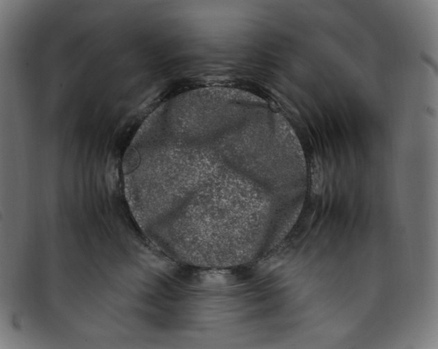 X0000098120618200804251453
