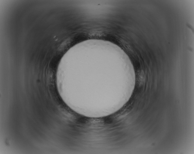 X0000098120619200804251453