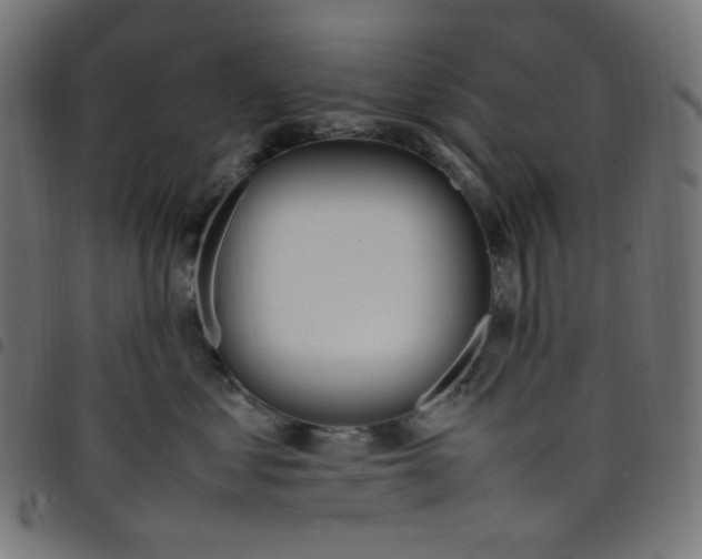 X0000098120621200804251453