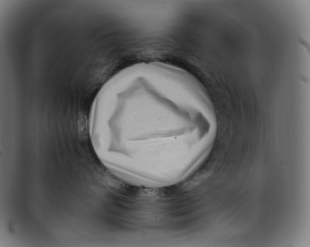 X0000098120624200804251453