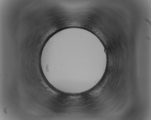 X0000098120625200804251452