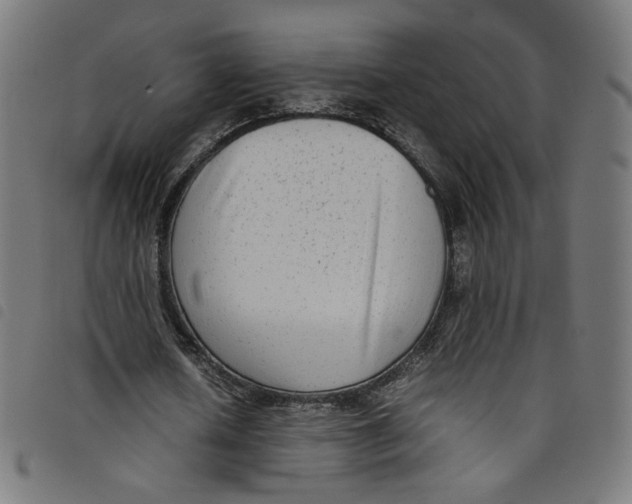 X0000098120626200804251452