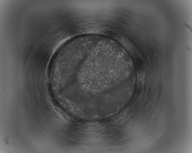 X0000098120628200804251452