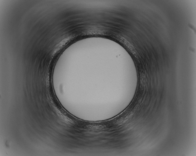 X0000098120629200804251452