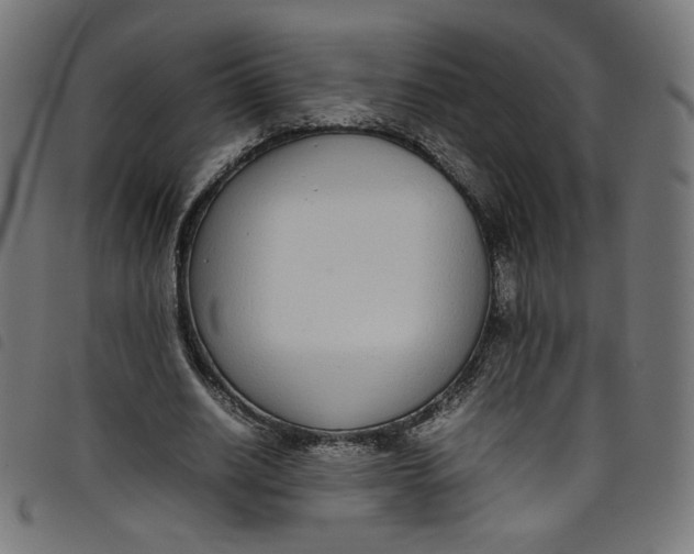 X0000098120630200804251452