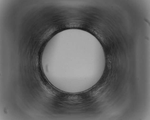 X0000098120631200804251452