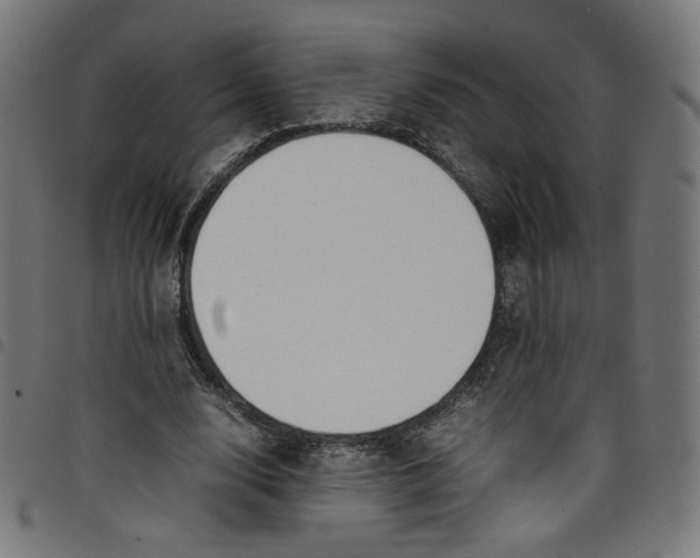 X0000098120632200804251452