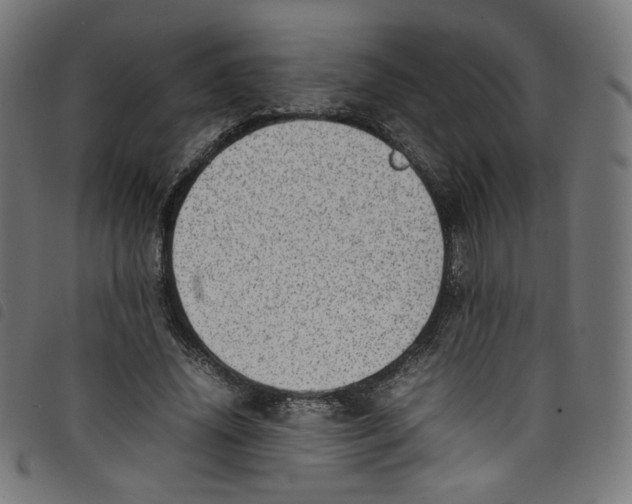 X0000098120636200804251453