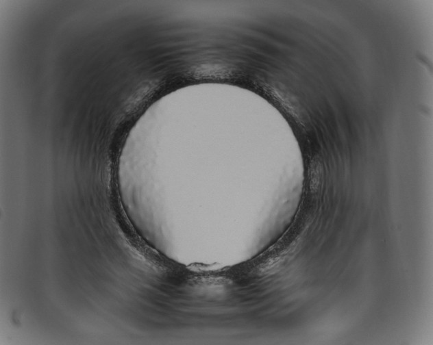 X0000098120637200804251453