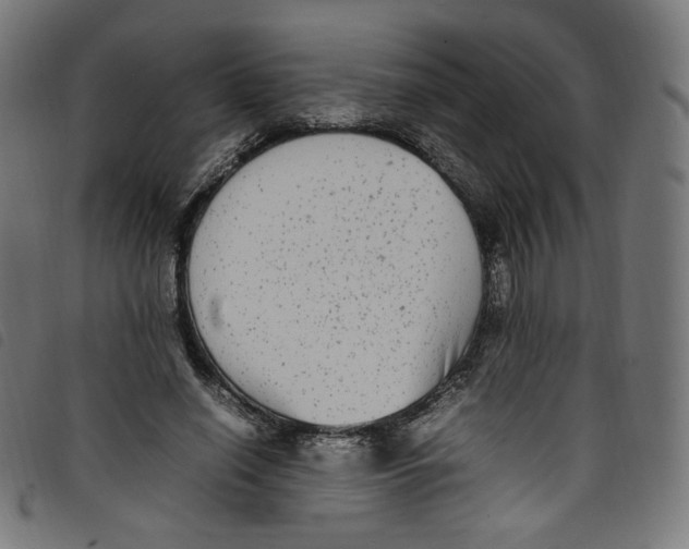 X0000098120638200804251453