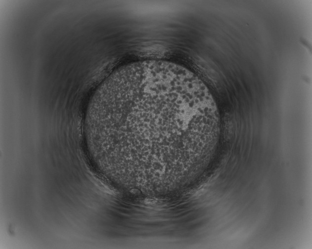X0000098120641200804251453