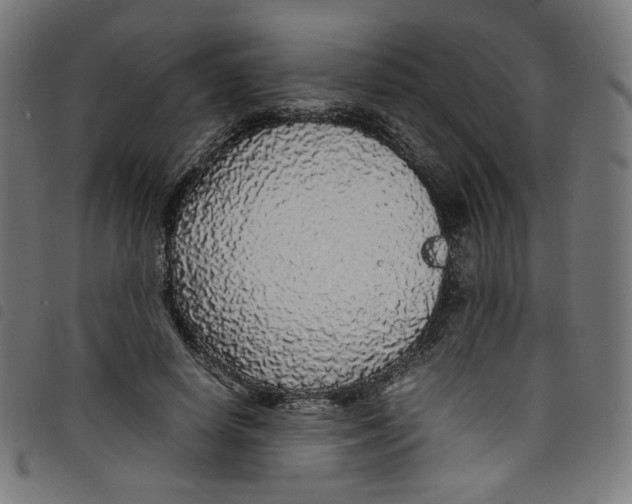 X0000098120642200804251453