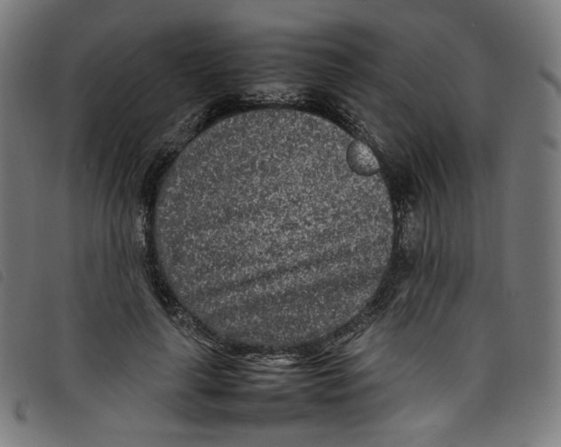 X0000098120643200804251453