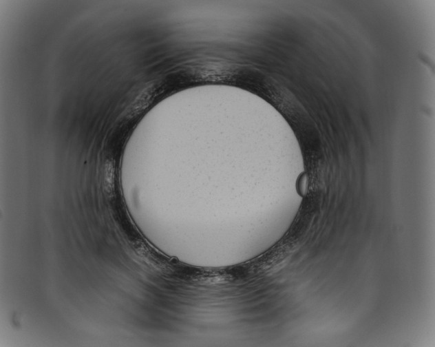 X0000098120646200804251453