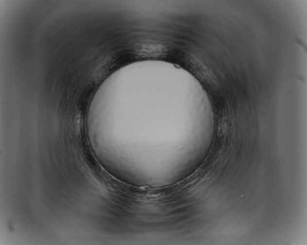 X0000098120647200804251453