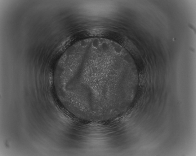 X0000098120648200804251453