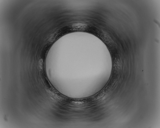 X0000098120649200804251453