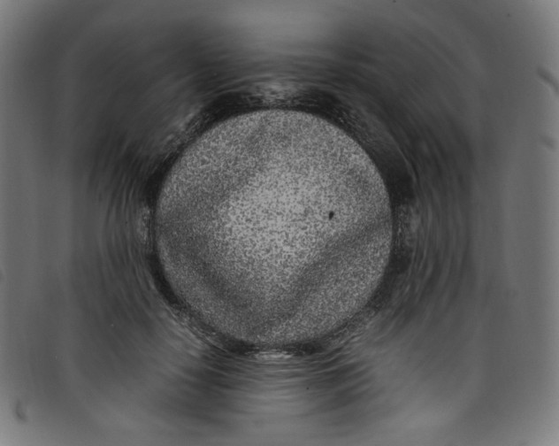X0000098120650200804251453