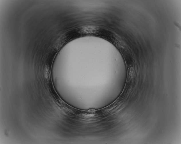 X0000098120651200804251453