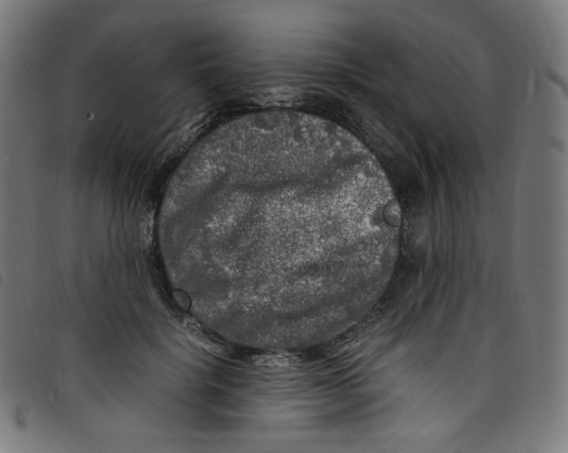 X0000098120652200804251453