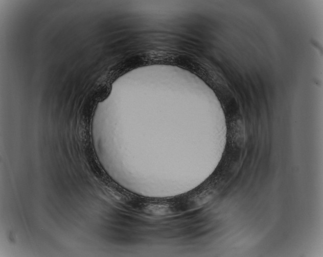 X0000098120653200804251453