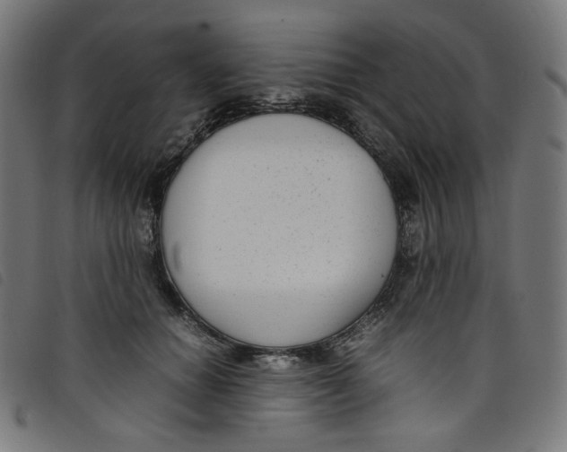X0000098120654200804251453