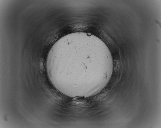 X0000098120655200804251453
