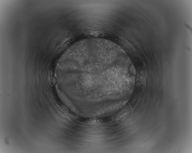 X0000098120656200804251453