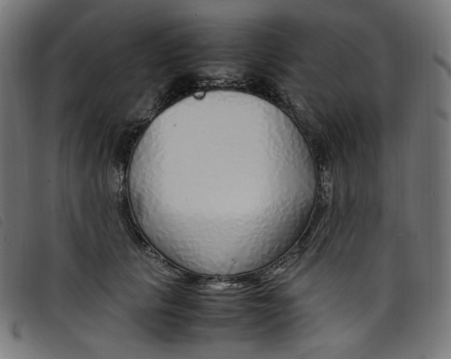 X0000098120657200804251453