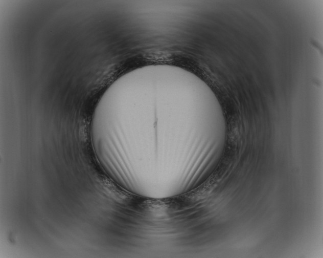 X0000098120658200804251453
