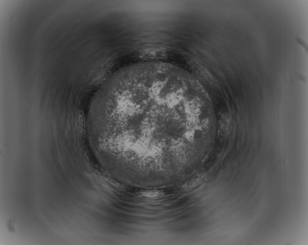 X0000098120659200804251453