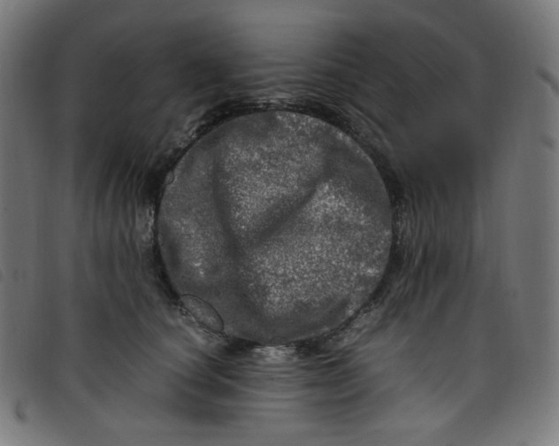 X0000098120660200804251453